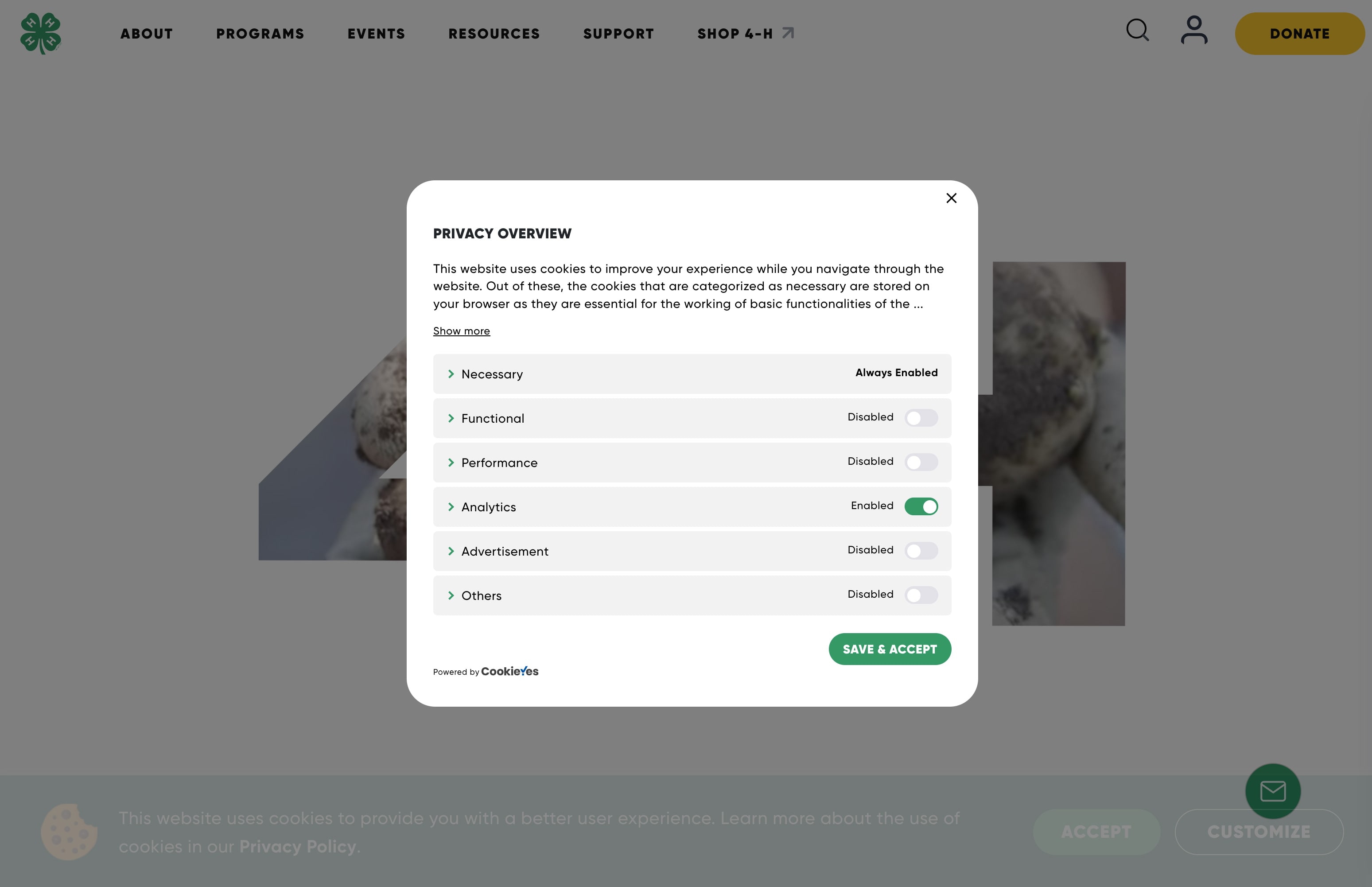 A privacy overview modal detailing the types of cookies a website uses and a 'Save & Accept' button.